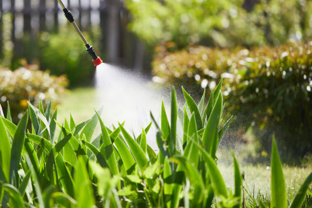 24/7 Emergency Wasp Removal experts in Benton, AR